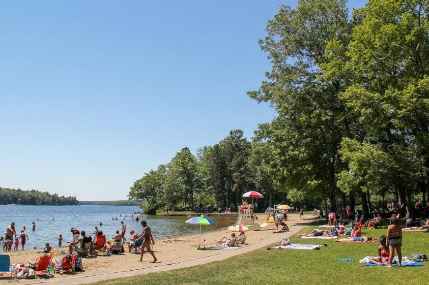 Douglas State Forest, Massachusetts, USA